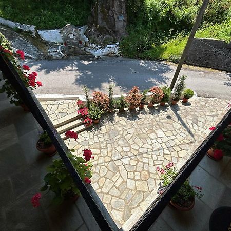 Hotel Λευκή Καμέλια Anilio Pelion Exterior foto