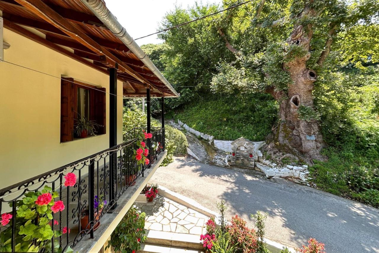 Hotel Λευκή Καμέλια Anilio Pelion Exterior foto